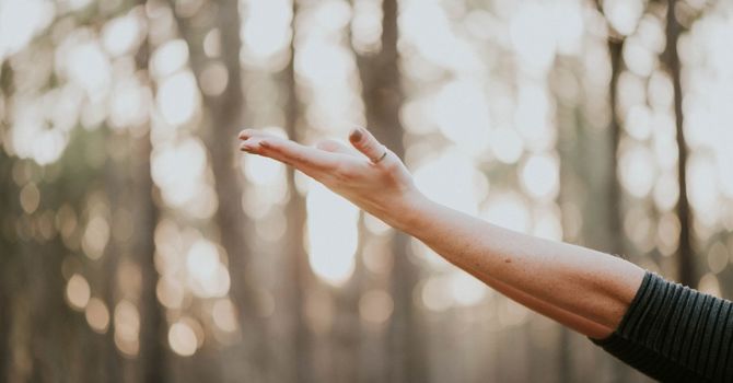 Wellness Services